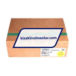 INA KWVE30-B-ESC-G4-V0 rulman resim 4