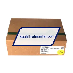 INA KWVE25-B-V2-G1 rulman resim 4