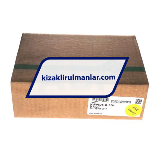 INA KWVE25-B-SNL-V1-G1 ürün fotoğrafı 4