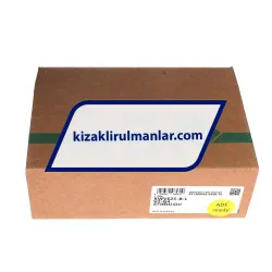 INA KWVE25-B-L-V2-G4 rulman resim 4