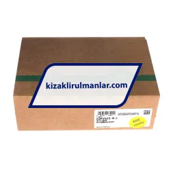 INA KWVE25-B-L-V1-G4 rulman resim 4