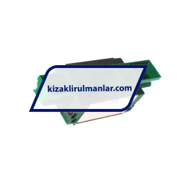 INA KWVE25-B-H-RROC-V1-G3 rulman resim 2