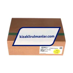 INA KWVE25-B-ESC-V0-G1 rulman resim 4