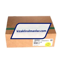 INA KWVE25-B-ES-V2-G4 rulman resim 4