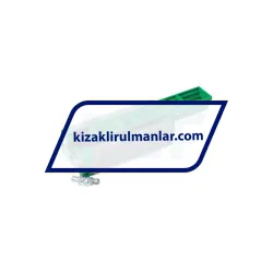 INA KWVE25-B-SL-UG-V1-G3 rulman resim 2