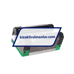 INA RWU45-E-H-V4-G1 rulman resim 2