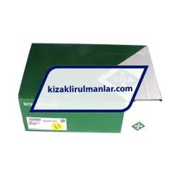 INA RWU45-E-V5-G2 rulman resim 4
