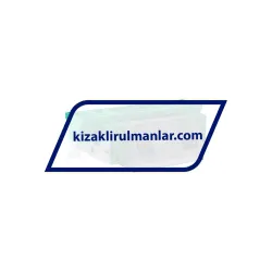 INA KWVE35-B-E-V1-G4 rulman resim 2
