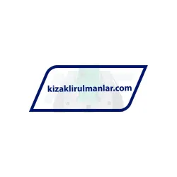 INA KWVE35-B-E-V1-G4 rulman resim 3