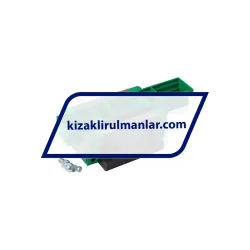 INA KWVE30-B-V0-G2 rulman resim 2