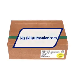 INA KWVE30-B-SNL-V1-G1 rulman resim 4
