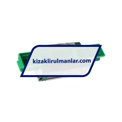 INA KWVE25-B-SN-V1-G1 rulman resim 2