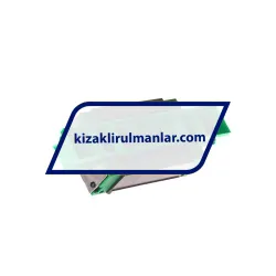 INA KWVE20-B-SN-V1-G1 rulman resim 2