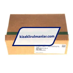 INA KWVE15-B-S-V0-G2 rulman resim 4
