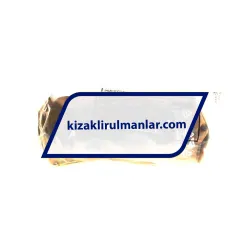 INA KWSE25-HL-V1-G3