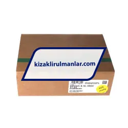 INA KWVE25-B-NL-RROC-V1-G3 rulman resim 4