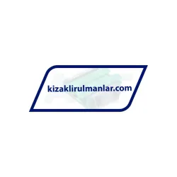 INA KWVE15-W-UG-V1-G3 rulman resim 2
