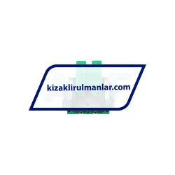 INA KWVE15-W-UG-V1-G3 rulman resim 3