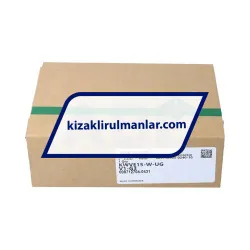INA KWVE15-W-UG-V1-G3 rulman resim 4