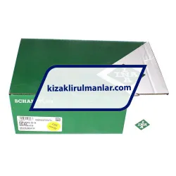 INA KWVE45-B-H-V0-G2 rulman resim 4