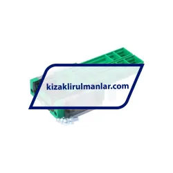 INA KWVE20-W-V1-G3 rulman resim 2