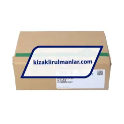 INA KWVE20-W-V1-G3 rulman resim 4