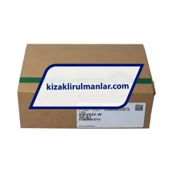 INA KWVE20-W-V0-G1 rulman resim 4