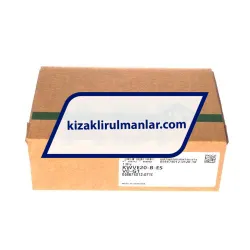 INA KWVE20-B-ES-V0-G1 rulman resim 4