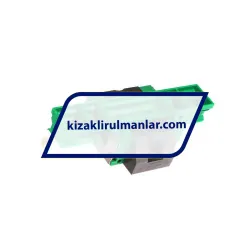INA KWVE20-B-EC-V1-G3 rulman resim 2