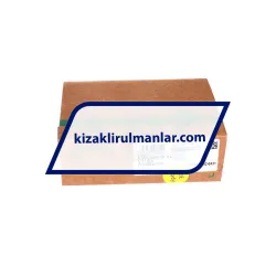 INA KWVE20-B-EC-V1-G3 rulman resim 4
