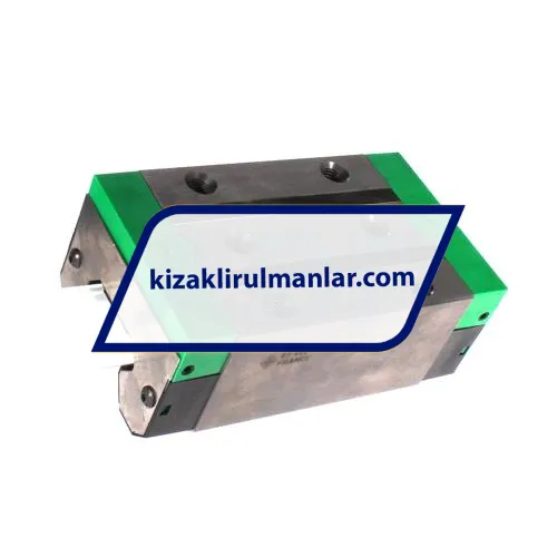 INA RWU55-E-H-V2-G0