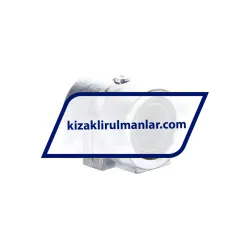 INA PAGH16-PP-AS