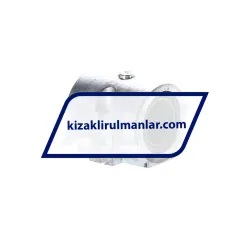 INA PAGH16-PP-AS rulman resim 2