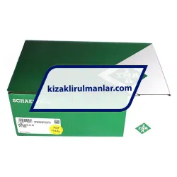 INA RWU45-E-H-V1-G2 rulman resim 4