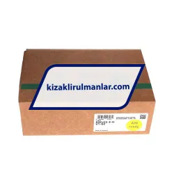 INA RWU35-E-H-V1-G2 rulman resim 4