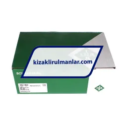 INA KWVE45-B-V0-G4 rulman resim 4