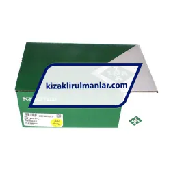 INA KWVE45-B-L-V1-G1 rulman resim 4