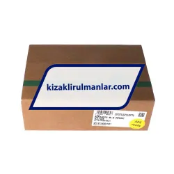 INA KWVE25-B-S-RROC-V1-G3 rulman resim 4