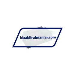 INA KWSE30-L-V1-G1 rulman resim 2