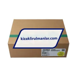 INA KWSE30-L-V1-G1 rulman resim 4
