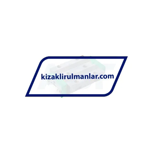 INA RWU25-E-L-V1-G2