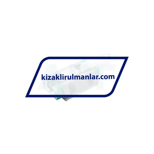 INA RWU25-E-L-V1-G2 ürün fotoğrafı 2