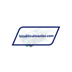 INA RWU25-E-L-V1-G2 rulman resim 2