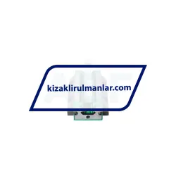 INA RWU25-E-L-V1-G2 rulman resim 3