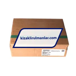 INA KWVE25-WL-V0-G2 rulman resim 4