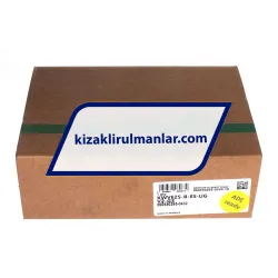 INA KWVE25-B-ES-UG-V2-G3 rulman resim 4