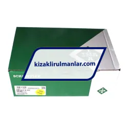 INA KWVE45-B-ESC-V0-G3 rulman resim 4