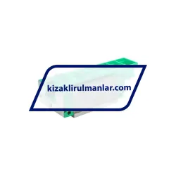 INA KWVE35-B-S-V2-G4