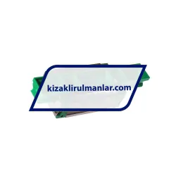 INA KWVE25-B-SN-V1-G4 rulman resim 2