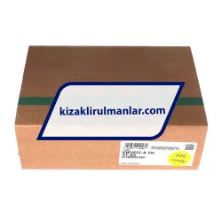INA KWVE25-B-SN-V1-G4 rulman resim 4